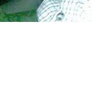 Панченко Євген фотография #10 (источник - https://vk.com/id133133301)