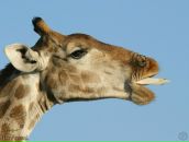 Фотография Синкиной Ларисы