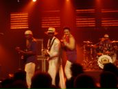 Крам Nomis фотография #11 (источник - https://vk.com/id131697)