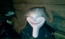 Фотография Ильина Романа