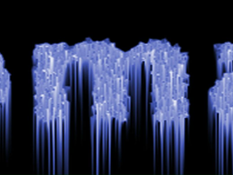 Сергей Бельков фотография #27