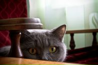 Євген Тітов фотография #23 (источник - https://vk.com/id33629111)