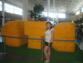 Фотография Рассказовой Екатерины