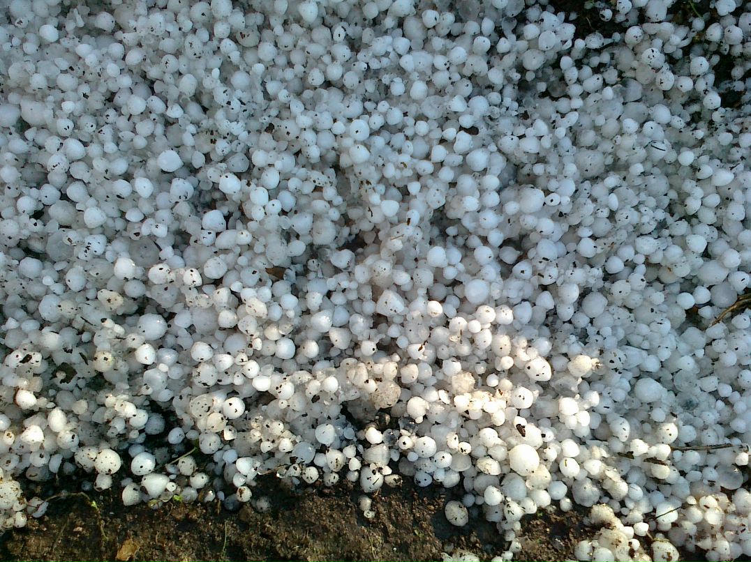 Иван Легалин фотография #36