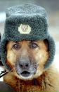 Ігор Гончаров фотография #20 (источник - https://vk.com/id54132639)
