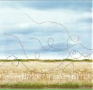 Фотография Моисеева Олега