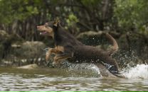 Фотография Бараненко Николая