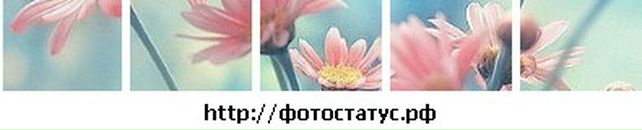 Лілія Ілларіонова фотография #32 (источник - https://vk.com/id31729397)