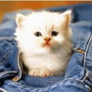 Діанка Новосад фотография #11 (источник - https://vk.com/id164875649)