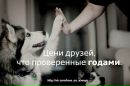 Діма Василащук фотография #2 (источник - https://vk.com/id194494211)