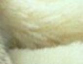 Іванка Золота фотография #20 (источник - https://vk.com/id139708248)