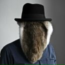 Фотография Alihanov Gregory