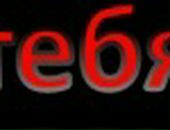 Елена Лебедева фотография #10 (источник - https://vk.com/id78795101)