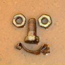 Фотография Шинкаренко Светланы