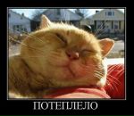 Олександр Лісовий фотография #28 (источник - https://vk.com/id22697210)