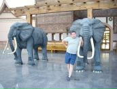 Фотография Прибыткина Юлия