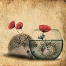 Вікторія Бурба фотография #35 (источник - https://vk.com/id151839116)