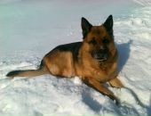 Фотография Митрофанова Владимира