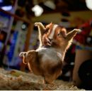 Фотография Winters Natali