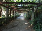 Максим Гнатів фотография #45 (источник - https://vk.com/id70384424)