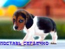Зорі4ка:))) Правдун$_$ фотография #16 (источник - https://vk.com/id155770547)