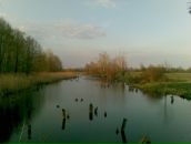 Сергій Манжура фотография #29 (источник - https://vk.com/id155292009)