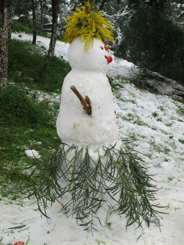 Иван Иванов фотография #26