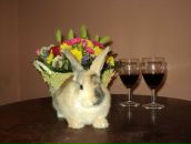 Фотография Егоровой Светланы