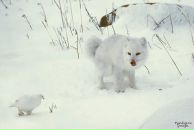 Фотография Ремизовой Татьяны