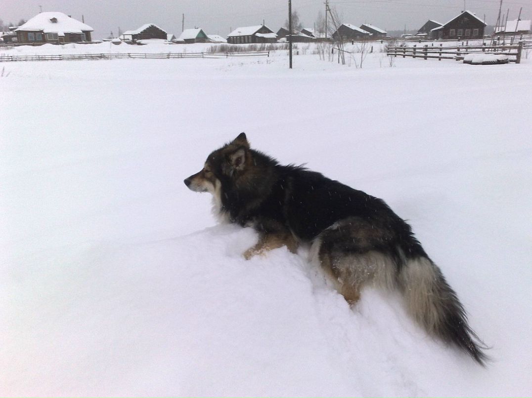 Ярослав Печеницын фотография #47