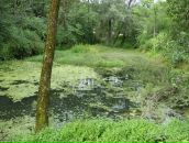 Славко Кость фотография #19 (источник - https://vk.com/id7108412)