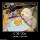 Фотография Антонова Антона