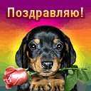 Люда Стаднічук фотография #36 (источник - https://vk.com/id71381138)