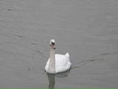 Фотография Рыбаковой Ирины