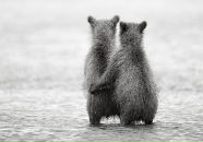 Фотография Филатовой Светланы