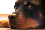 Фотография Санина Евгения