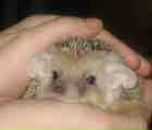 Фотография Жериковой Елены