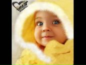 Фотография Ермолина Тимы