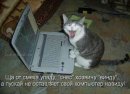 Дарія Іваськевич фотография #14 (источник - https://vk.com/id36656158)