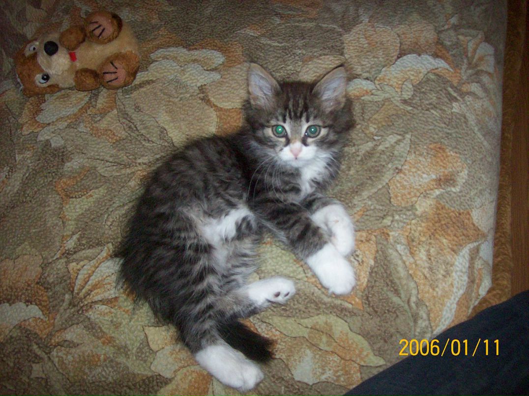 Андрей Поляков фотография #25