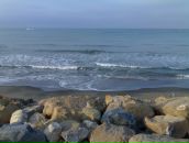 Артур Алістренко фотография #10 (источник - https://vk.com/id30488486)