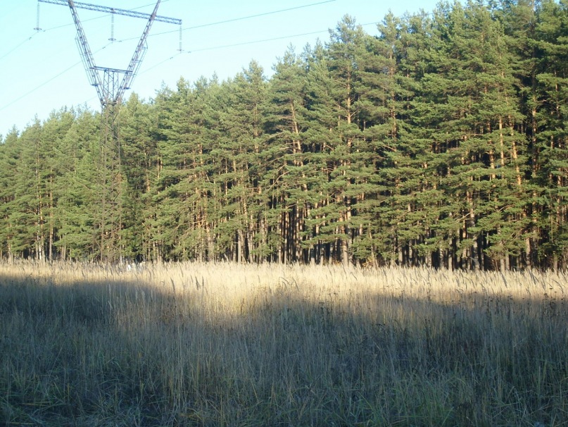 Гриша Дорощенко фотография #19