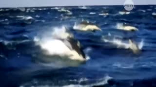 Неожиданное заявление! Цивилизация БОГОВ возвращается на Землю. Откуда на Земле