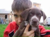 Іван Алмаші фотография #33 (источник - https://vk.com/id89643469)