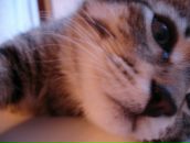 Фотография Щепаловой Анны