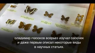 Культурный факт. Хобби