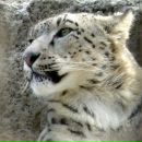 Фотография Халиулина Дмитрия