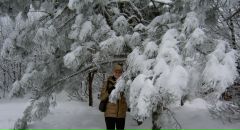 Фотография Фурсовой Олеси