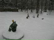 Софія Гапонюк фотография #5 (источник - https://vk.com/id28712059)