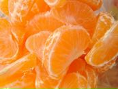 Фотография Екубовой Зульфии